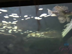 Любители, Грязь, Куколка, Платье, Подружка, От первого лица, Киски, Сиськи