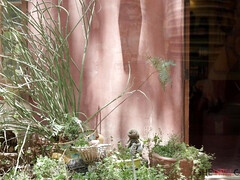 Спальня, Собачьи, Натуральные сиськи, На природе, Пирсинг, Киски, Застенчивая, Тату