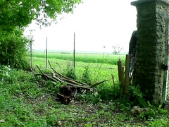 Любители, Черные, Секс без цензуры, Домохозяйки, Милф, На природе