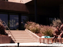 Schwarz, Blasen, Besamung, Spermaladung, Schwanz, Schwarz, Küssen, Flotter dreier