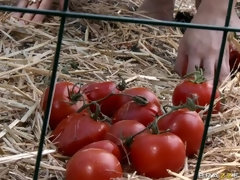 Beso negro, Tetas grandes, Negro, Mamada, Corridas, Polla, Europeo, Penetracion con dedos