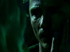 Helena Mattsson - Species